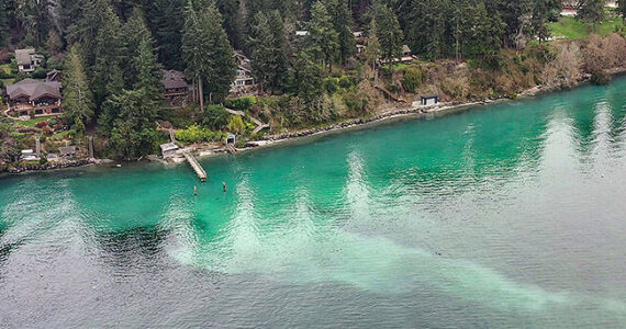 Dave Parks, Coastal Watershed Institute courtesy photo
Herring spawn event seen from above along Agate Pass in March of 2023.