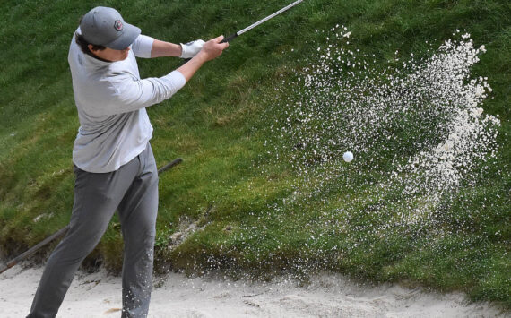 Spartan Andrew Jobes chips from the bunker onto the green. Nicholas Zeller-Singh/Kitsap News Group photos