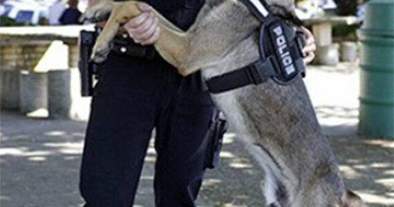 File photo
Poulsbo police officer Nick Hoke and K-9 Kilo back in 2014. The department will be bringing back its K-9 program to help enhance its drug enforcement efforts.