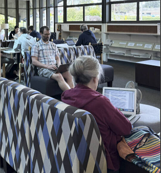 <p>Nancy Treder/Kitsap News Group photos</p>
                                <p>The reading room at the Bainbridge Public Library was full of internet users.</p>