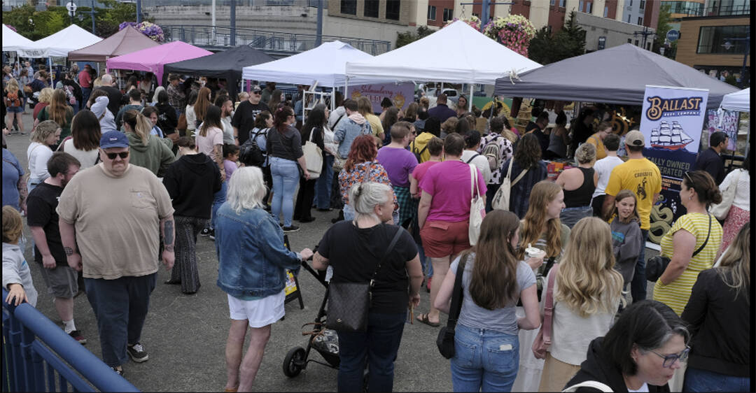 Damon Williams/Kitsap News Group photos
A large volume of people attended the book festival in Bremerton.