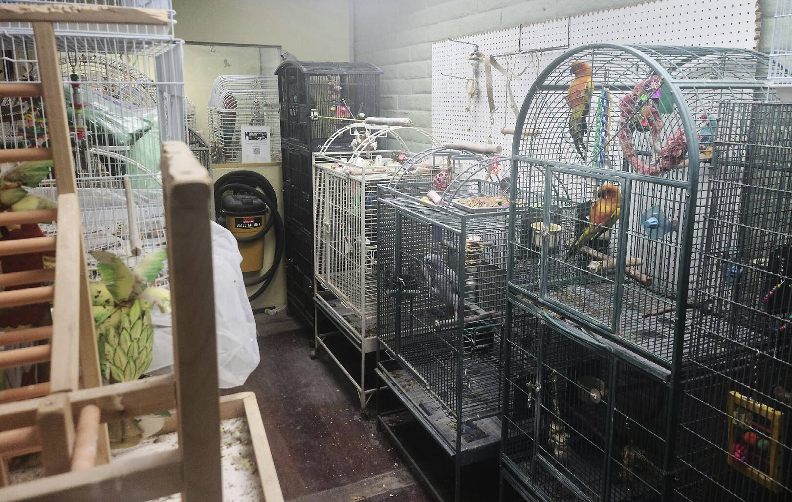 Todd Penland courtesy photos
The sanctuary contains numerous parrots.