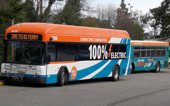 Joshua Kornfeld/Kitsap News Group
Kitsap Transit buses at the Bainbridge Island ferry terminal.