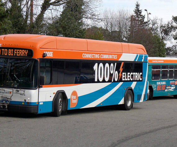 Joshua Kornfeld/Kitsap News Group
Kitsap Transit buses at the Bainbridge Island ferry terminal.