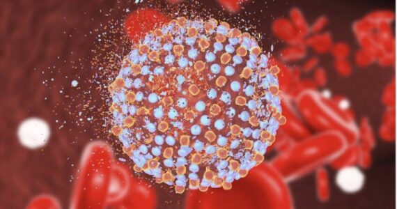 National Institute of Health courtesy photo
Hepatitis C