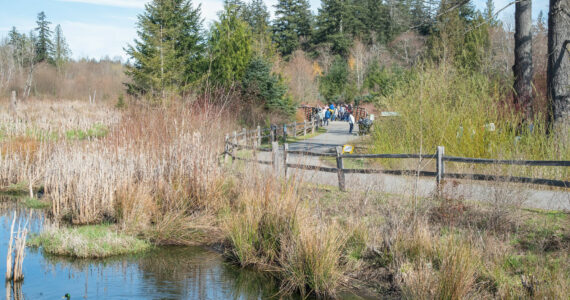 GPC courtesy photo
Clear Creek Trail in Silverdale.