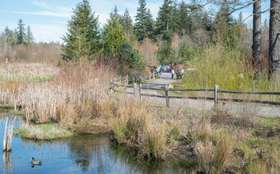 GPC courtesy photo
Clear Creek Trail in Silverdale.
