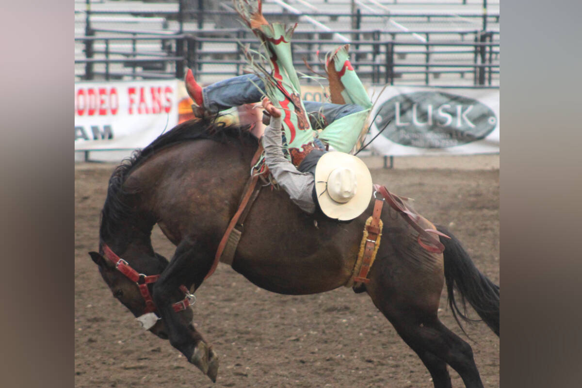 Crowds will gather on Aug. 20-24 at the Kitsap Fair and Stampede, where community spirit shines and nightly rodeo thrills keep the energy high. Photo by Elisha Meyer/Kitsap News.