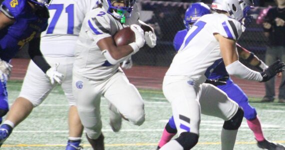 File photo
Trojan running back Chace Webster rushed for 331 yards and scored four touchdowns in a 27-14 Olympic home win over Chief Sealth Nov. 7 to advance to the opening round of the state tournament.