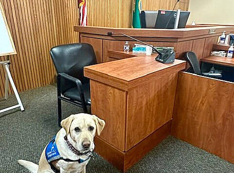 Mike De Felice/Kitsap News Group photos
Lovely stands ready to help at her daytime home - the Kitsap County courthouse.