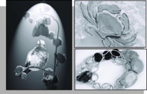 See Zoot's digital photography (left)