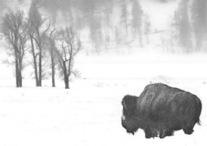 With emotions traveling from despair to solace