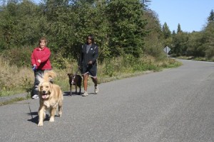 Bonnie Adams (left) of Silverdale walks her dog Gracie with Karen Bolton of Bremerton and her dog Kali on Tuesday along the Clear Creek Trail. The Olympic College instructors got a stroll in after their morning classes.