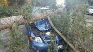 High north winds caused power outages in North Kitsap Nov. 24. This driver escaped injury on Laura Loop Road at State Route 305.