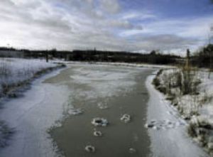 Local environmental officials say the recent snow runoff is not a major concern for local streams like this one in Silverdale near All-Star Lanes & Casino.