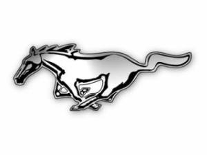 Mustangs — not just a car