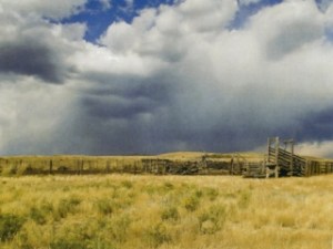 Gavin Watt's photography