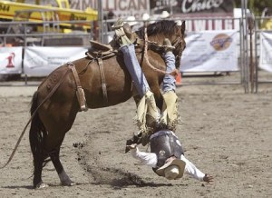The all-volunteer Thunderbird Pro Rodeo heads to Silverdale for a fifth consecutive year today and runs through Sunday.