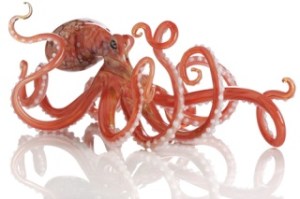 Umphress was picked as one of the top glassworkers in the nation at the 2009 NICHE Awards for her glass octopi.