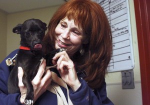 Kitsap Humane Society volunteer extraordinaire Sandi Klein gets a little snuggle time with Iris