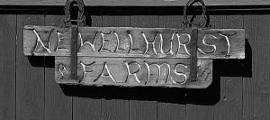 Kingston Historical Society founder Bill Reynolds saved the Newellhurst Farms sign. The farm became a working farm