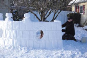 Not all was doom and gloom in the North End. Some