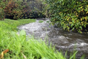 The south fork of Dogfish Creek is swollen with storm water