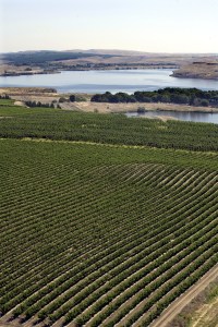 Aerial view of Gordon Brothers Vineyard