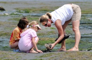 Low tide discovery in Hansville