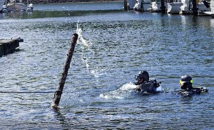 Volunteers pull up a 20-foot length of old water pipe that the divers have located.