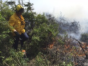 An NKF&R firefighter prepares to cut into brush and logs burning in a large fire near Point No Point Beach