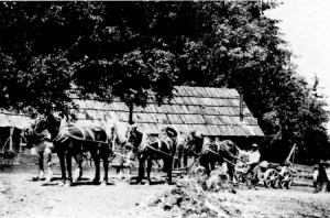 The team that brought power to Kingston | A Glance at the Past | February