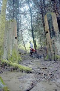 Cascade Land Conservancy and Great Peninsula Conservancy are raising money to buy 7