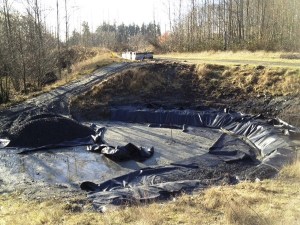The Fish Park amphitheater is expected to be completed by January. The amphitheater