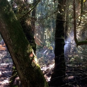 As an excavator works nearby