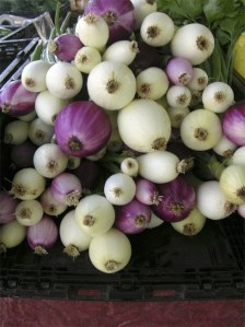 Colorful and tasty produce can be found at local farmers markets.