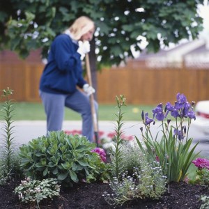 Planning your yard and garden like a work of art takes time.