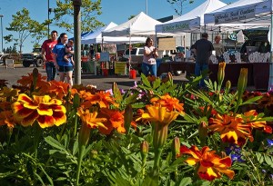Alex and Hollie Dorr walk through the Silverdale Farmers Market with their 14-month-old daughter