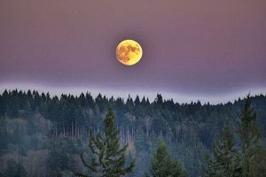 Kitsap Peninsula residents were greeted by the sight of a bright moon on a windy evening