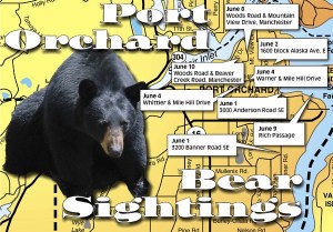 A year-and-a-half-old bear has been sighted numerous times around the region lately