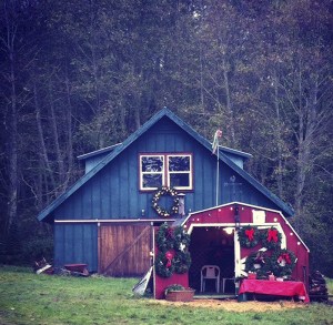Big Maple Tree Farm in Hansville is closing after operating for 40 years.