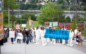 Protesters march against Monsanto in downtown Bremerton Saturday. The group of around 200 traveled from Evergreen Park to the Norm Dicks Government Center.
