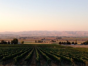 The sun rises over Williamson Vineyard near Caldwell