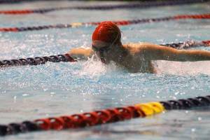 Kingston's Kevin Fox