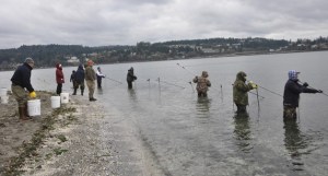 Smelt fishing on Sinclair Inlet.