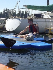 Kingston Adventures employee Dylan Szerlog carefully moving the board the seal is on to a safe place away from people.