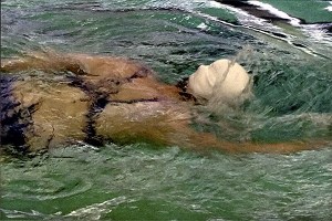 Allison Stough swimming the freestyle at the Special Olympics held at the King County Aquatic Center in Federal Way.
