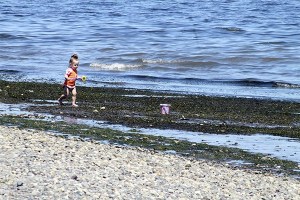 Head to your favorite Kitsap beach this summer