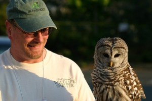 The West Sound Wildlife Shelter is one of many organizations to donate to during the Kitsap Great Give event. The shelter helps rehabilitate injured animals.