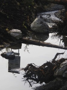 A highway sign is reflected in Dogfish Creek